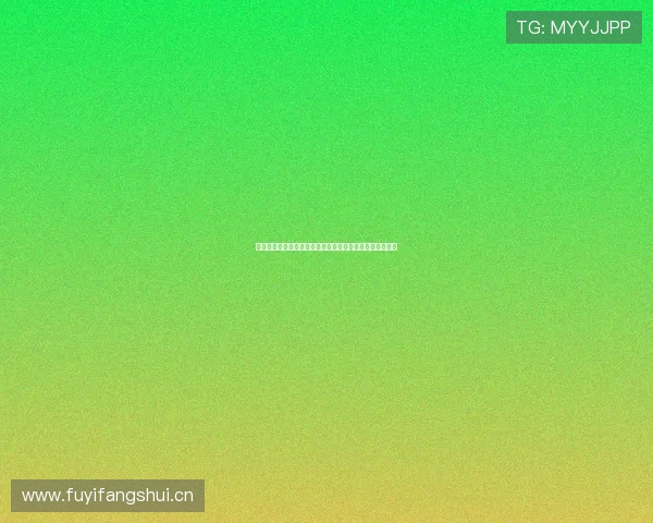 主播视频最新网名曝光，带你揭秘背后有趣故事与趣味瞬间